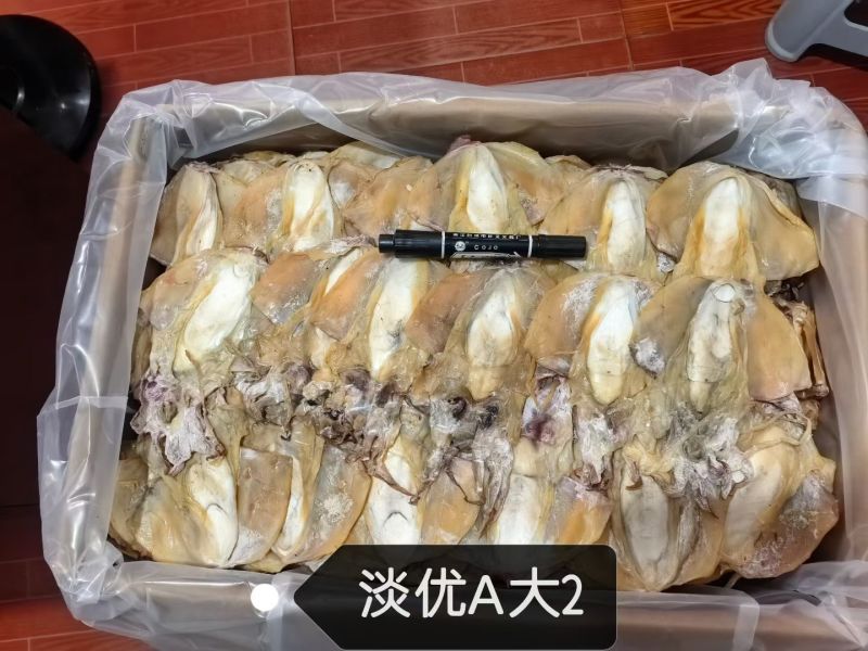 浙江东海本港墨鱼干，大量上市。