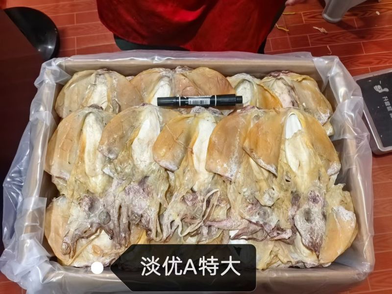 浙江东海本港墨鱼干，大量上市。