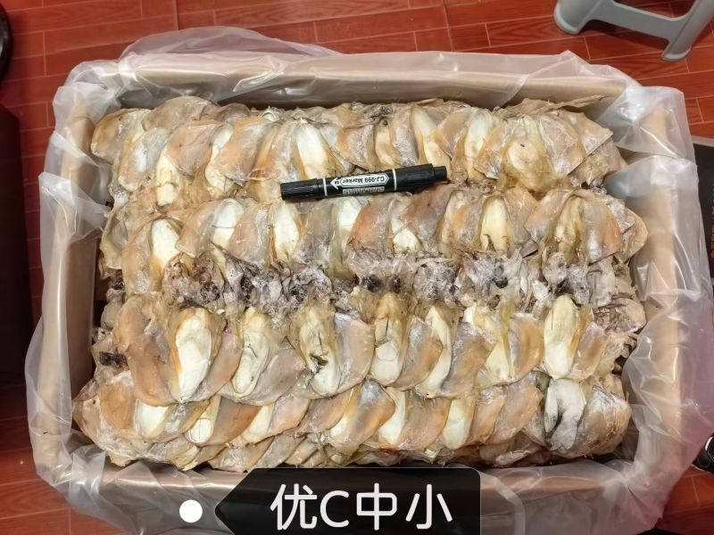 浙江东海本港墨鱼干，大量上市。
