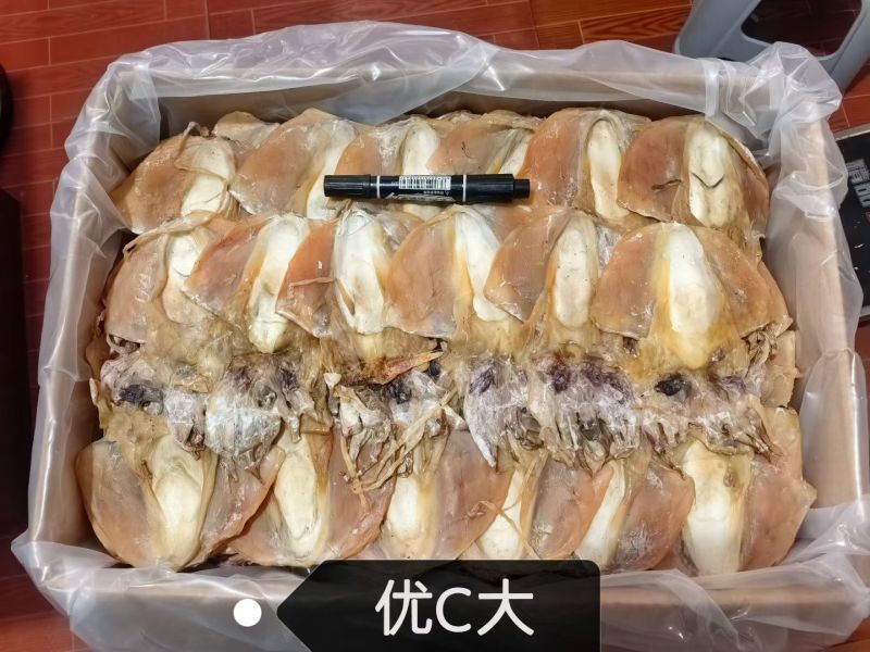 浙江东海本港墨鱼干，大量上市。