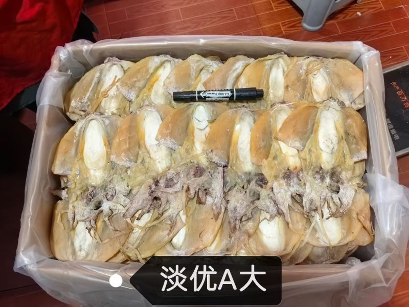 浙江东海本港墨鱼干，大量上市。