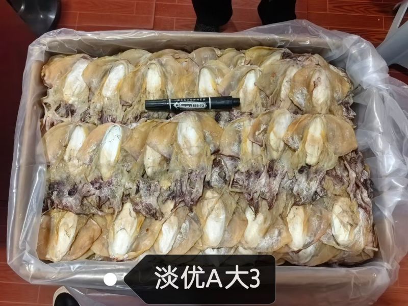 浙江东海本港墨鱼干，大量上市。