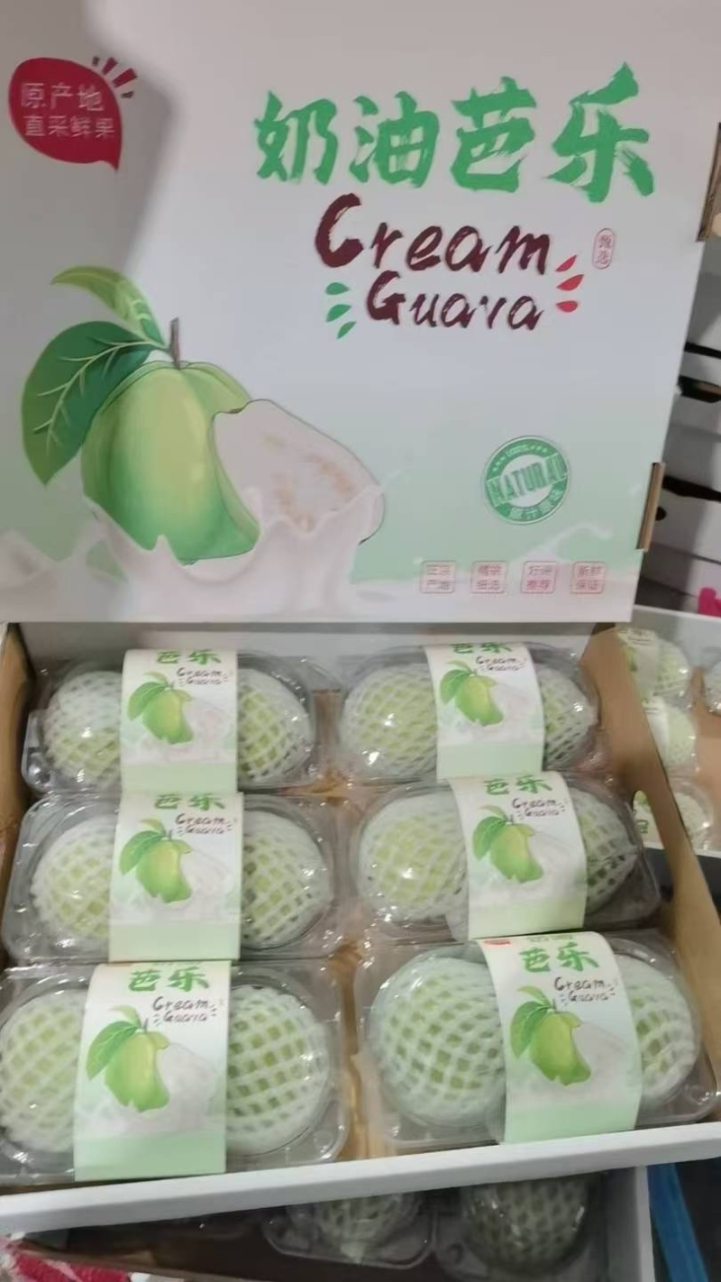 红心芭乐脆甜奶油都有支持产地代办整车直发供应批发市场
