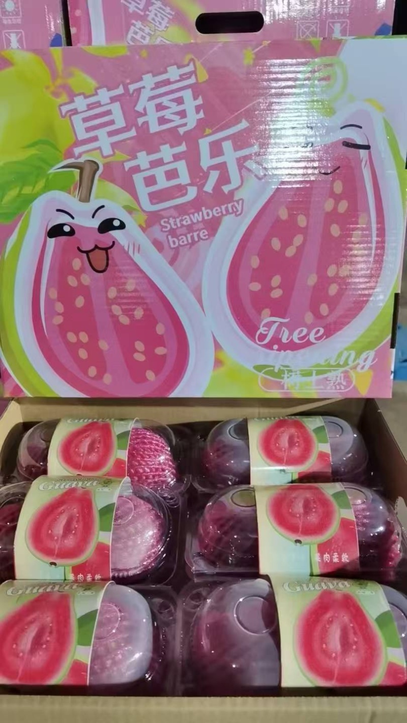 红心芭乐脆甜奶油都有支持产地代办整车直发供应批发市场