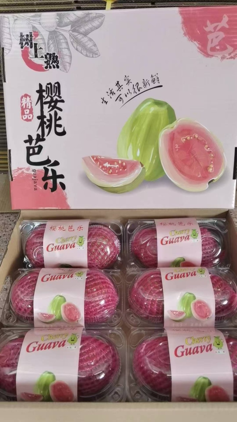 红心芭乐脆甜奶油都有支持产地代办整车直发供应批发市场