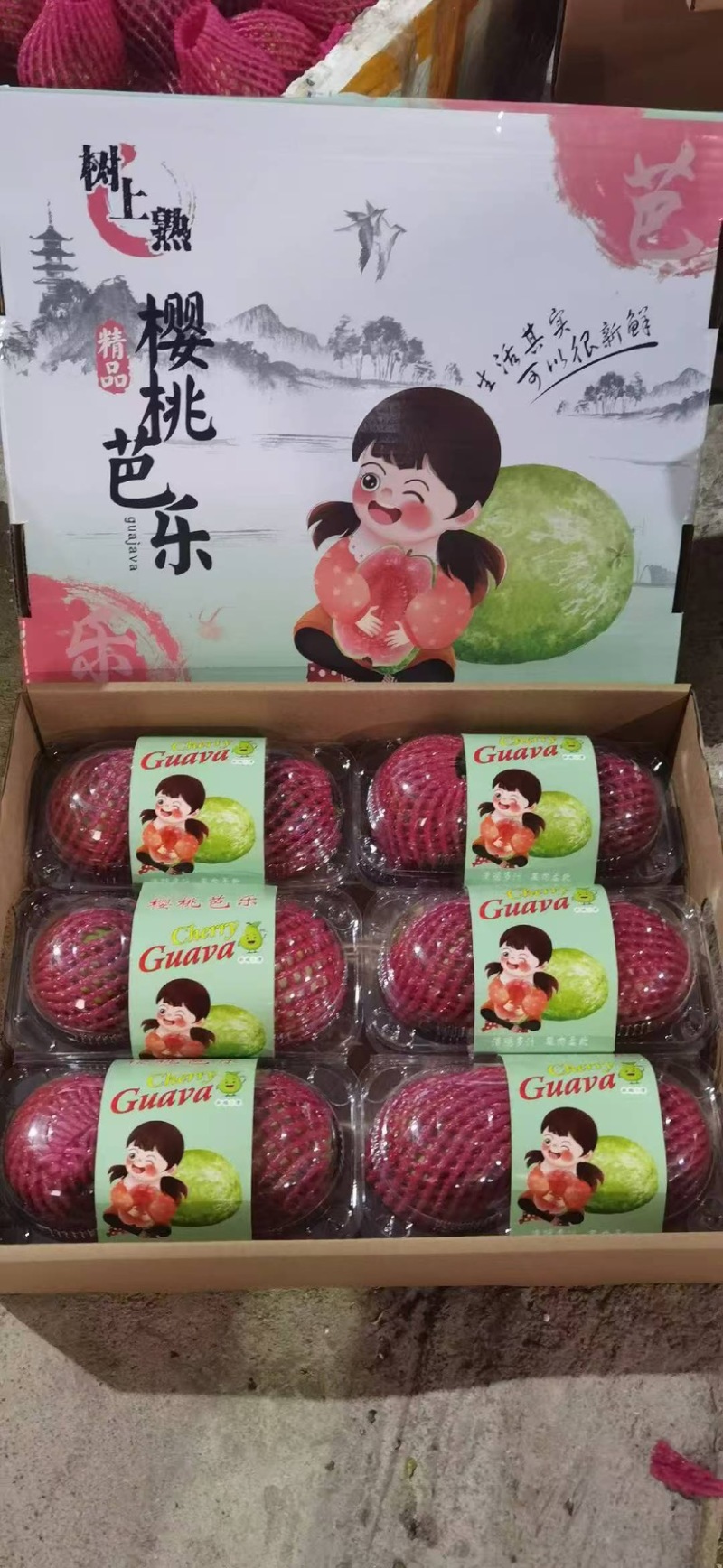 红心芭乐脆甜奶油都有支持产地代办整车直发供应批发市场