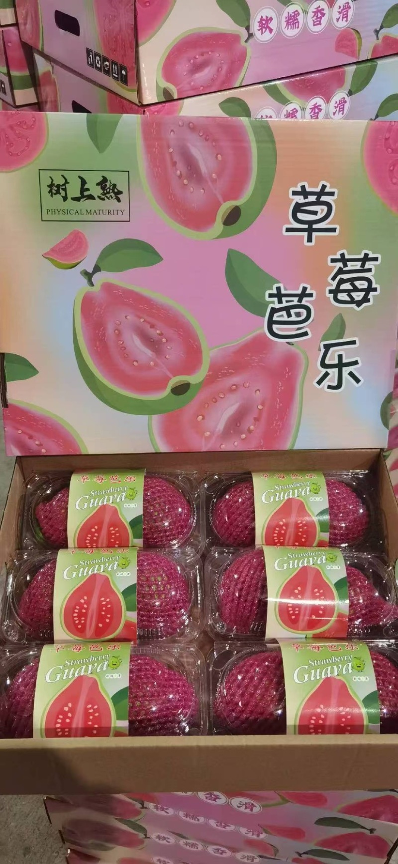 红心芭乐脆甜奶油都有支持产地代办整车直发供应批发市场