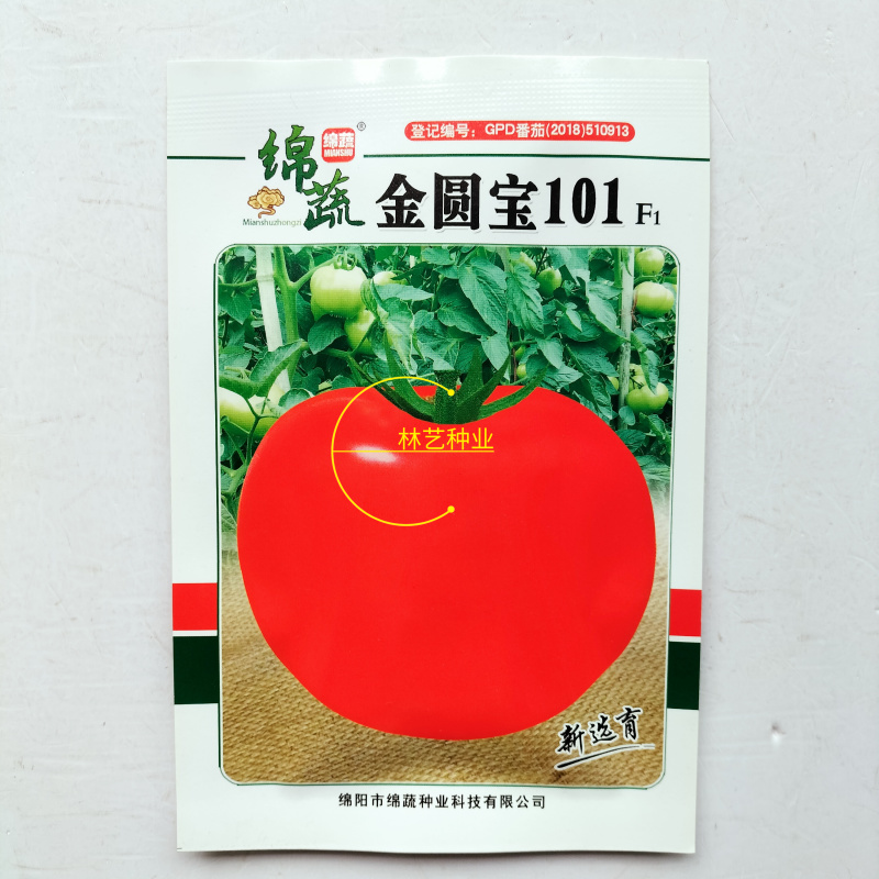 绵蔬金圆宝101大红果番茄种子F1早熟扁圆形无青肩自封顶