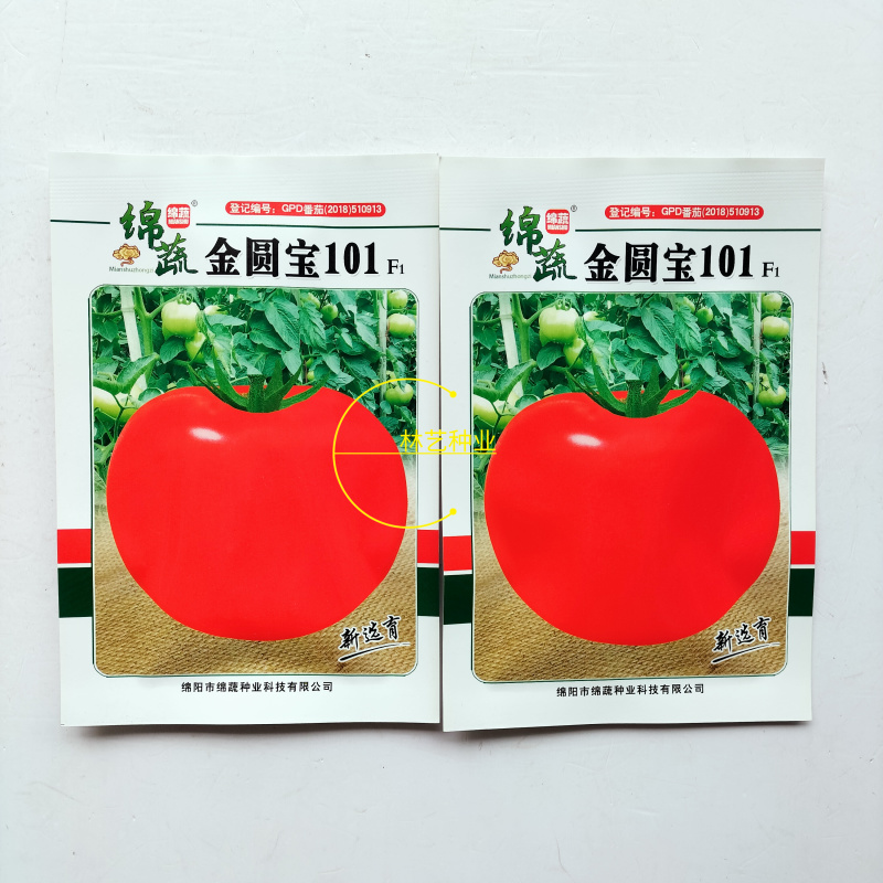 绵蔬金圆宝101大红果番茄种子F1早熟扁圆形无青肩自封顶