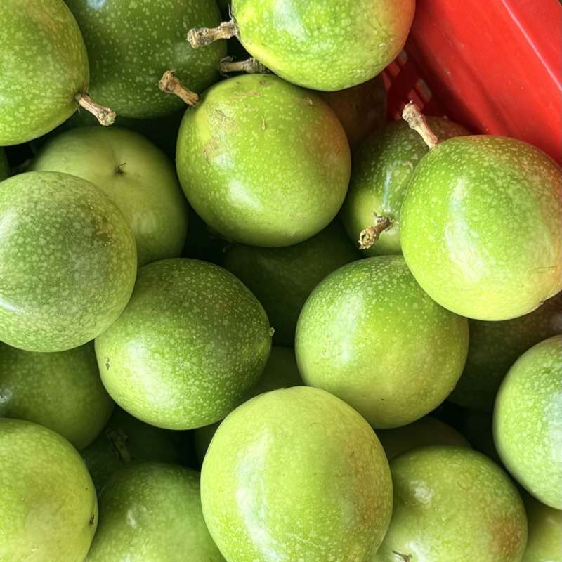 广东本地*钦蜜9号黄金百香果