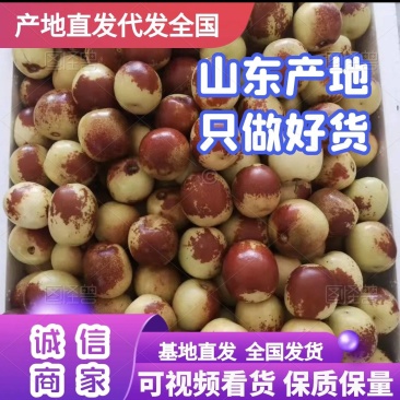 《畅销推荐》冬枣大量上市基地直发对接商超团购电商一条龙