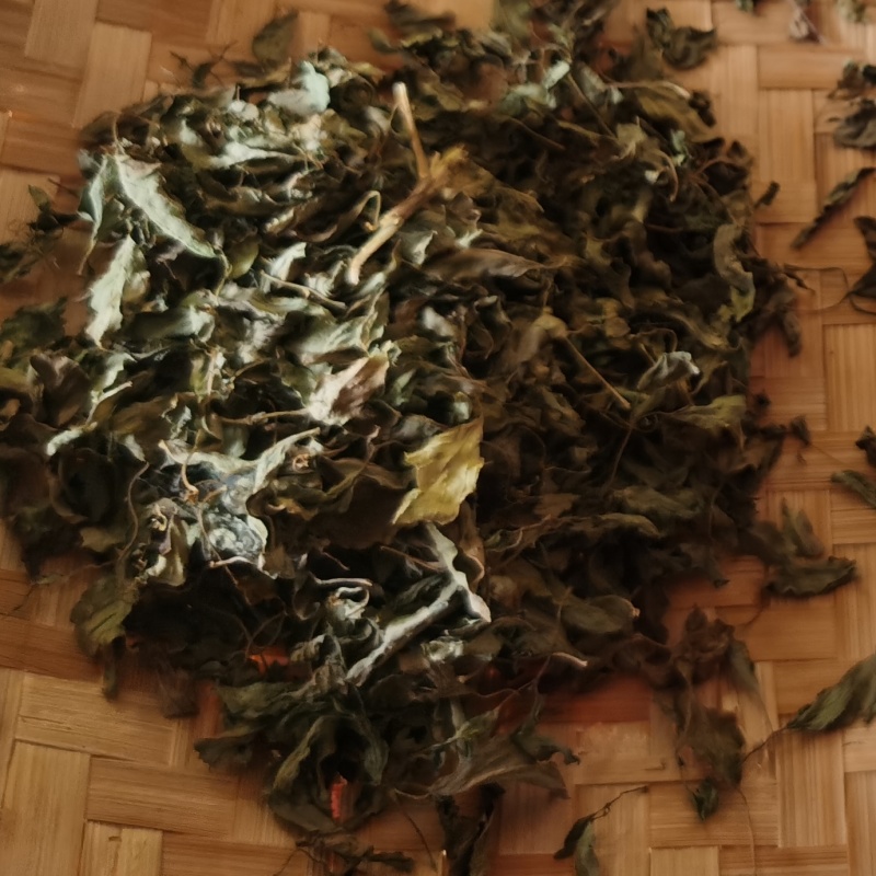 潮汕金不换罗勒天然晒干源头直发