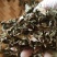 潮汕金不换罗勒天然晒干源头直发