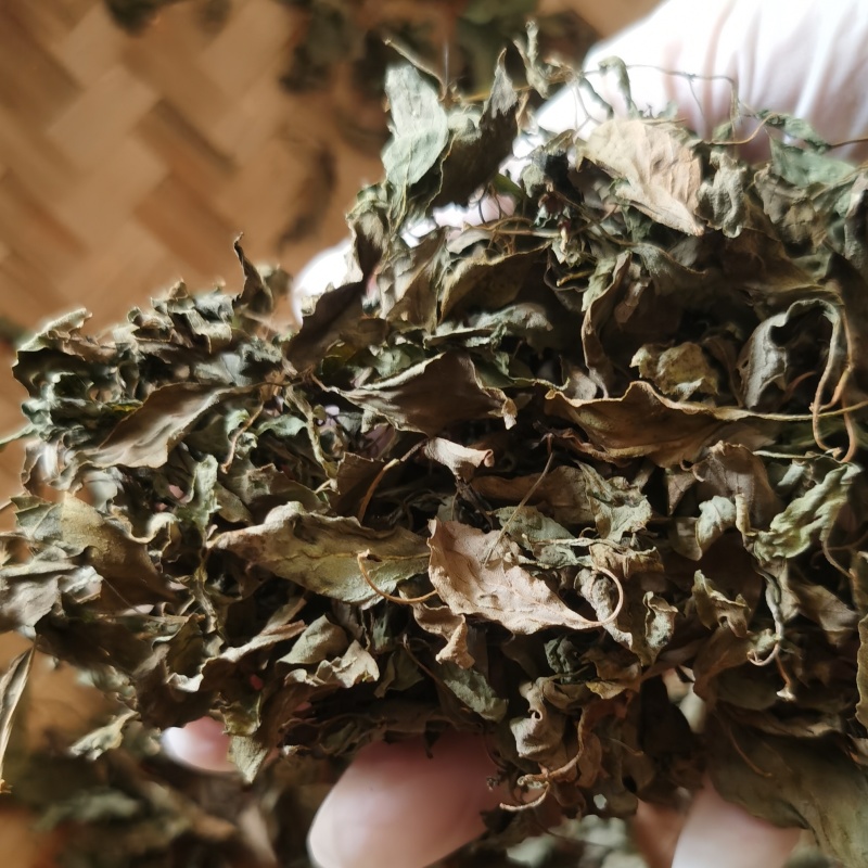 潮汕金不换罗勒天然晒干源头直发