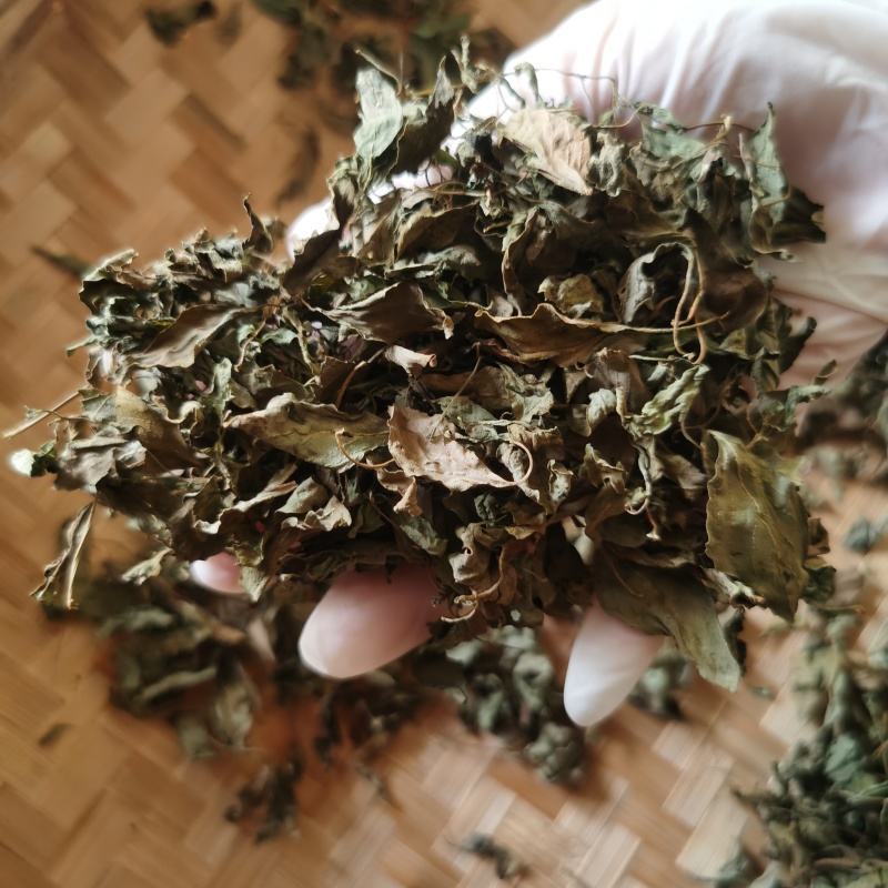 潮汕金不换罗勒天然晒干源头直发