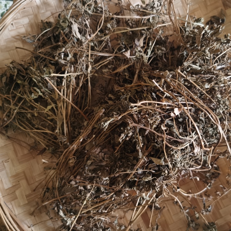 潮汕金不换罗勒天然晒干源头直发