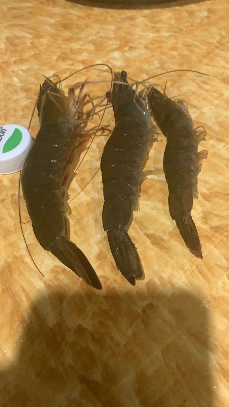 湛江南美白对虾，冰虾，液冻虾