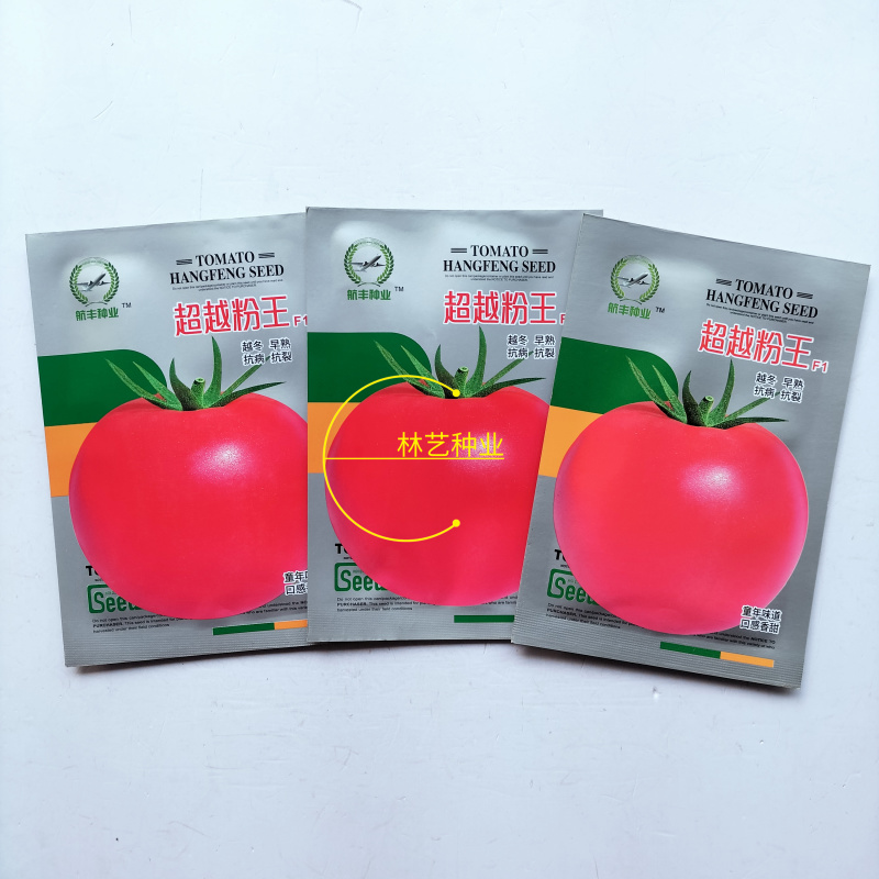 航丰超越粉王F1番茄种子早熟大果西红柿种籽抗病耐储高产