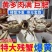 【精品九指蟹】大闸蟹残蟹断脚螃蟹残次蟹全母蟹礼盒装顺丰包
