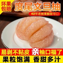 正宗度尾文旦柚一件代发支持各大平台5斤9斤