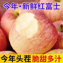 山西红富士苹果3斤5斤9斤支持各大平台一件代发