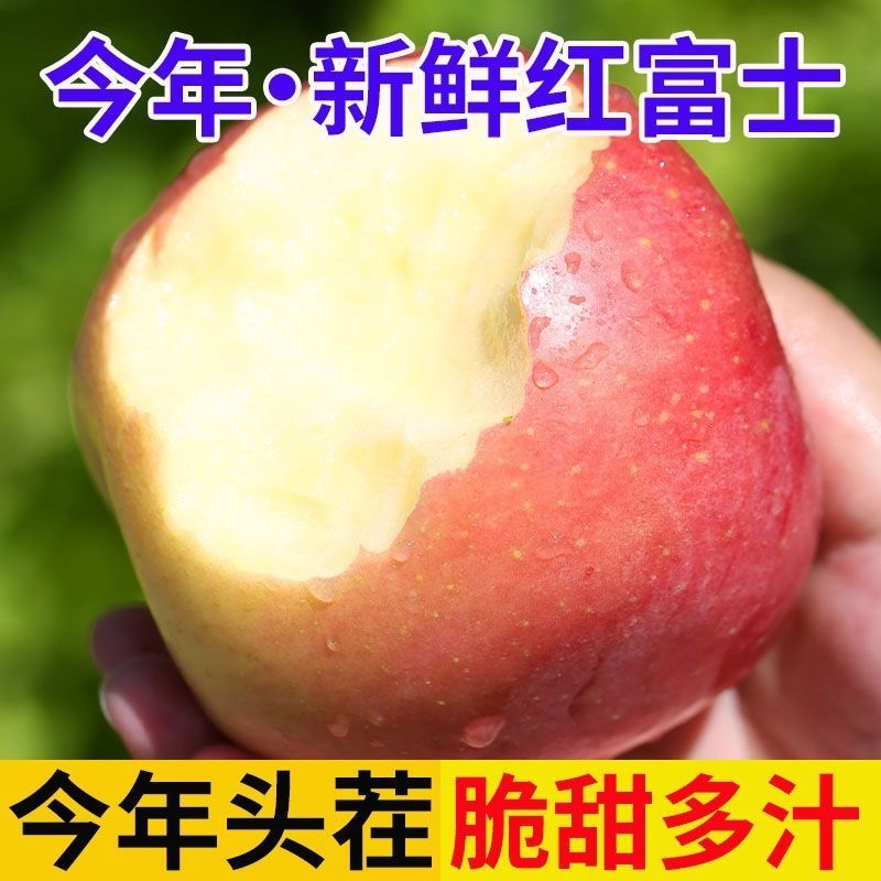山西红富士苹果3斤5斤9斤支持各大平台一件代发