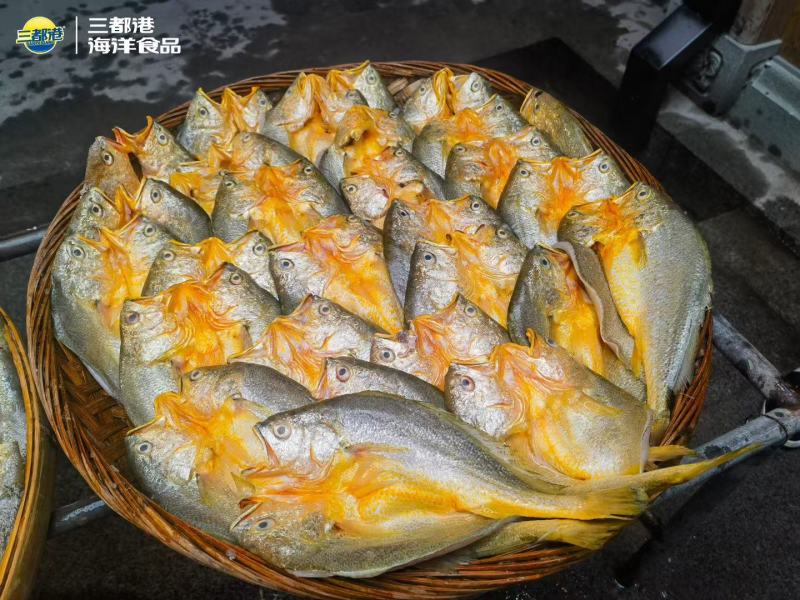 黄花鱼鲞