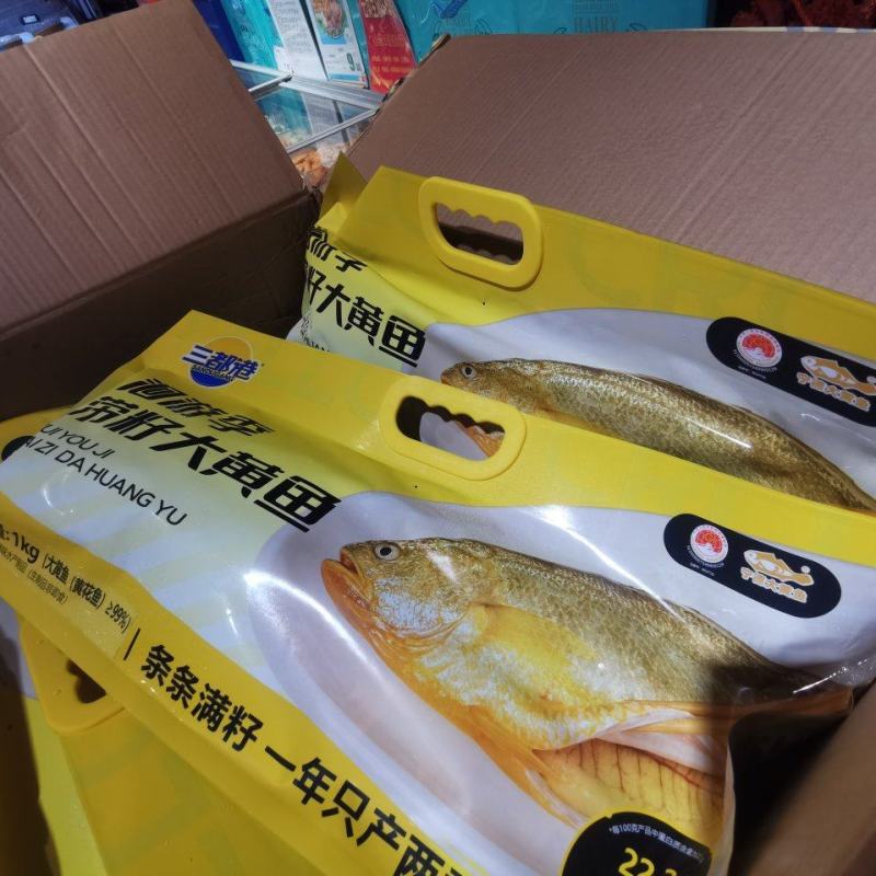 带籽大黄鱼