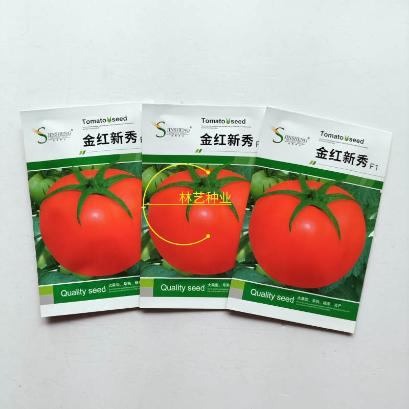金红新秀番茄种子红果沙瓤自封顶西红柿种味酸甜抗早晚疫病