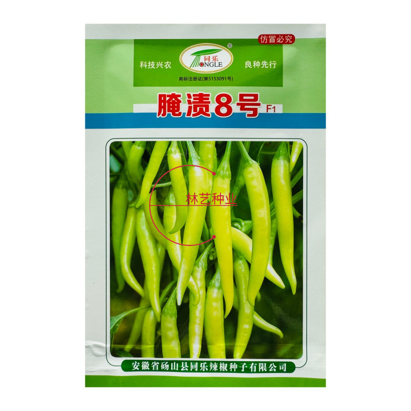 腌渍椒8号泡椒辣椒种子黄白皮耐热高产辣椒种籽皮薄肉脆蔬菜
