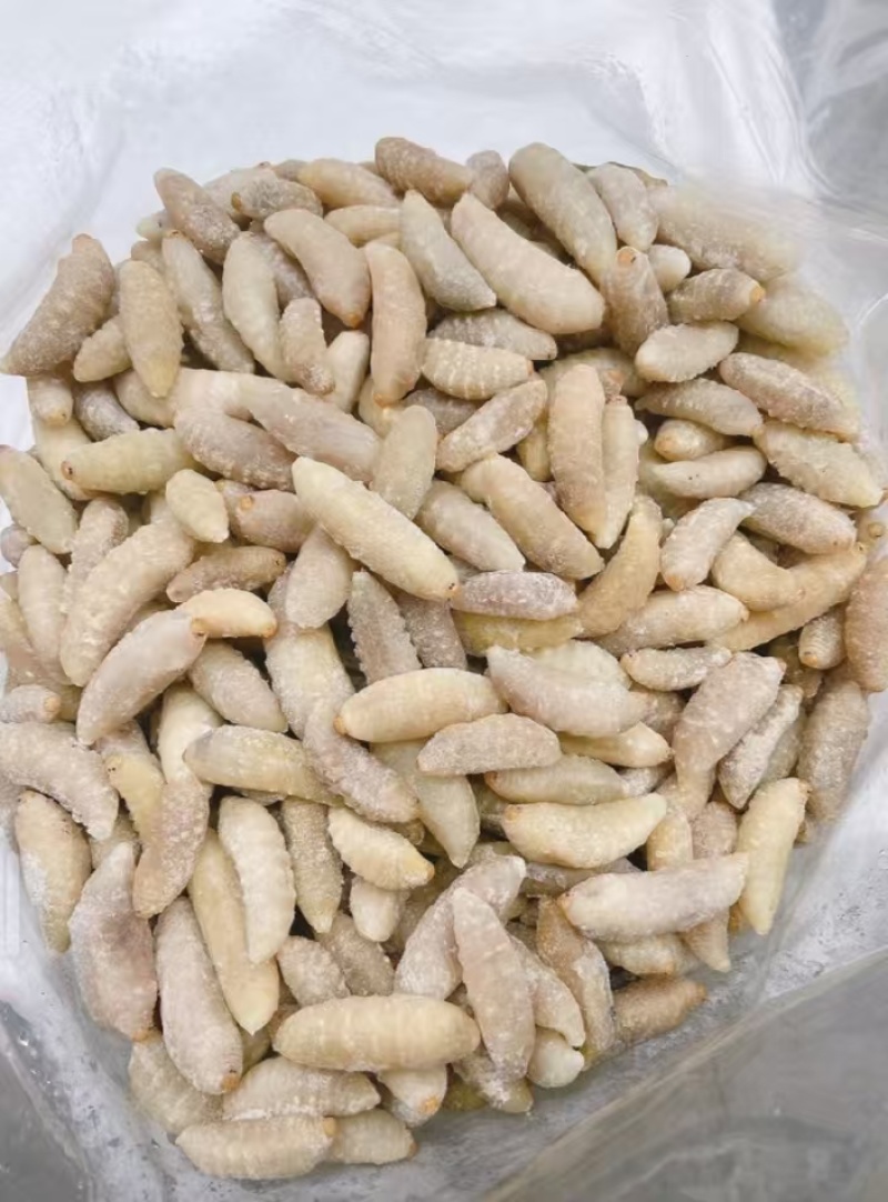 土蜂蛹