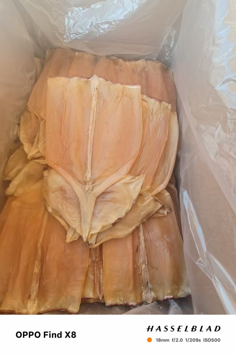 半盐无头鱿鱼干水发鱿鱼干淡干鱿鱼盐干鱿鱼规格齐全