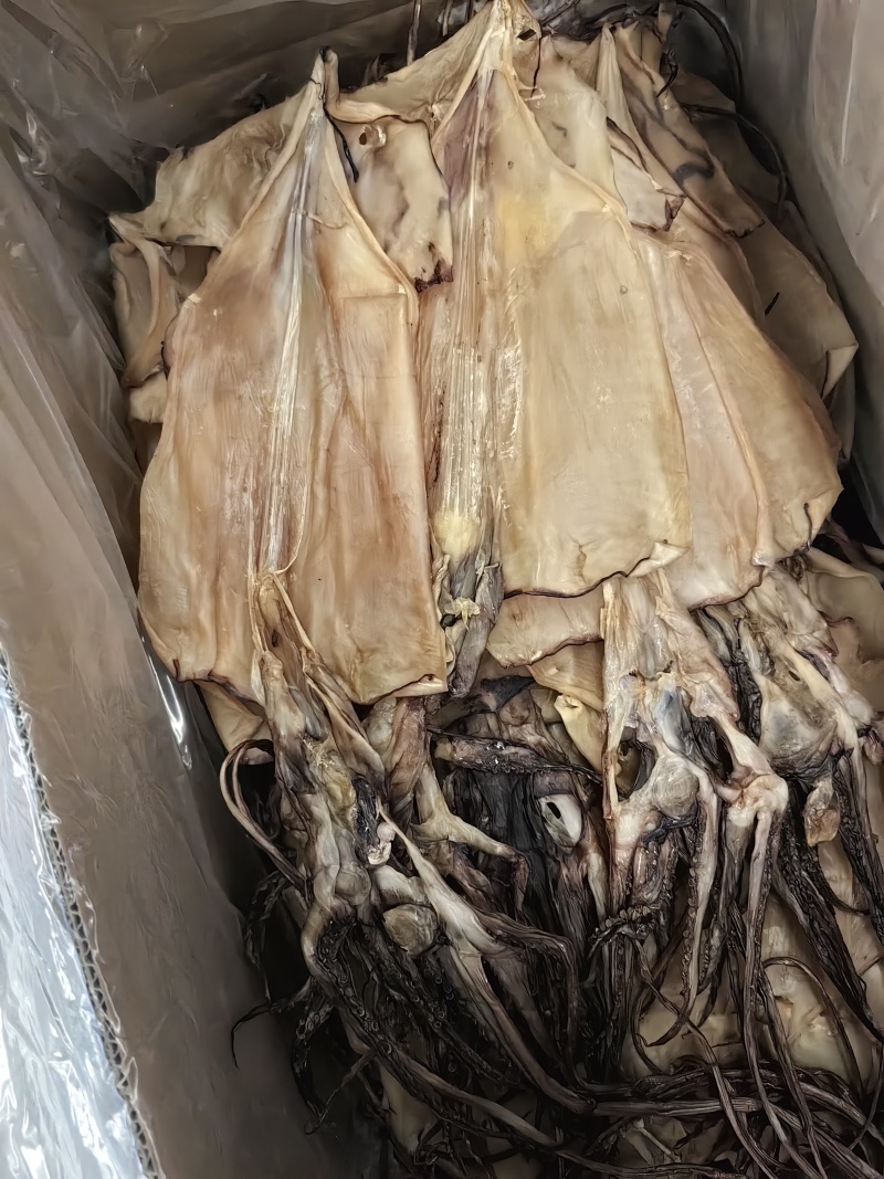 半盐无头鱿鱼干水发鱿鱼干淡干鱿鱼盐干鱿鱼规格齐全