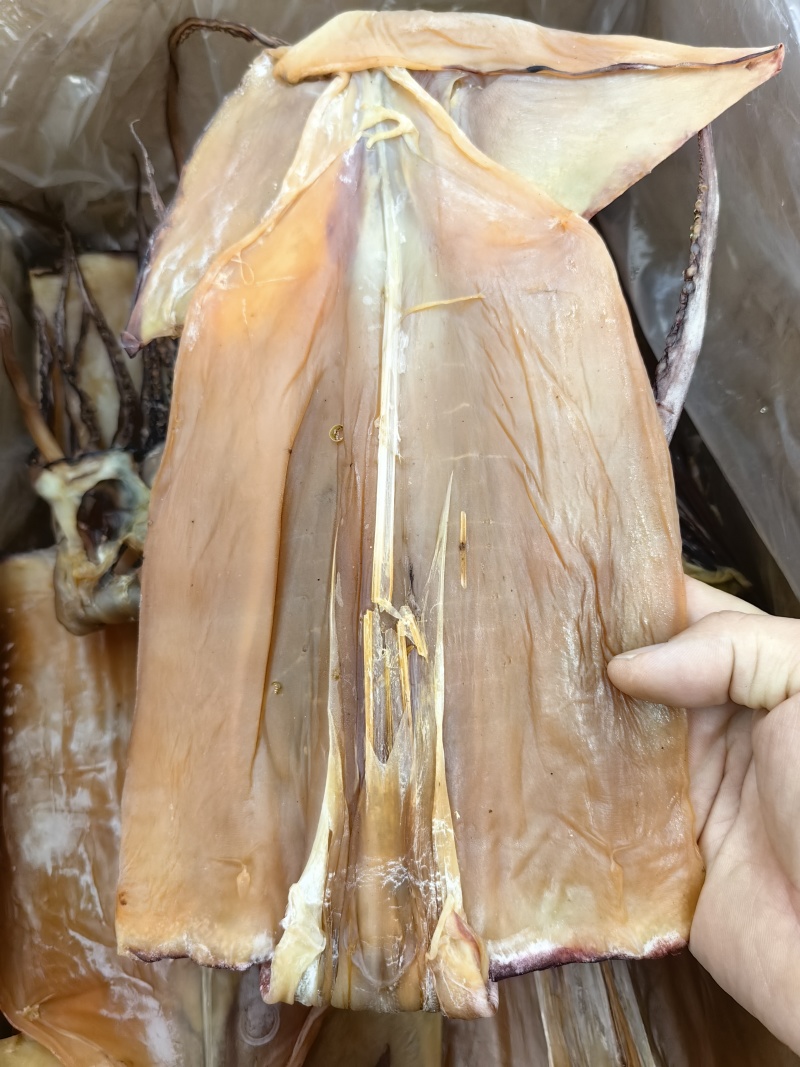 半盐无头鱿鱼干水发鱿鱼干淡干鱿鱼盐干鱿鱼规格齐全