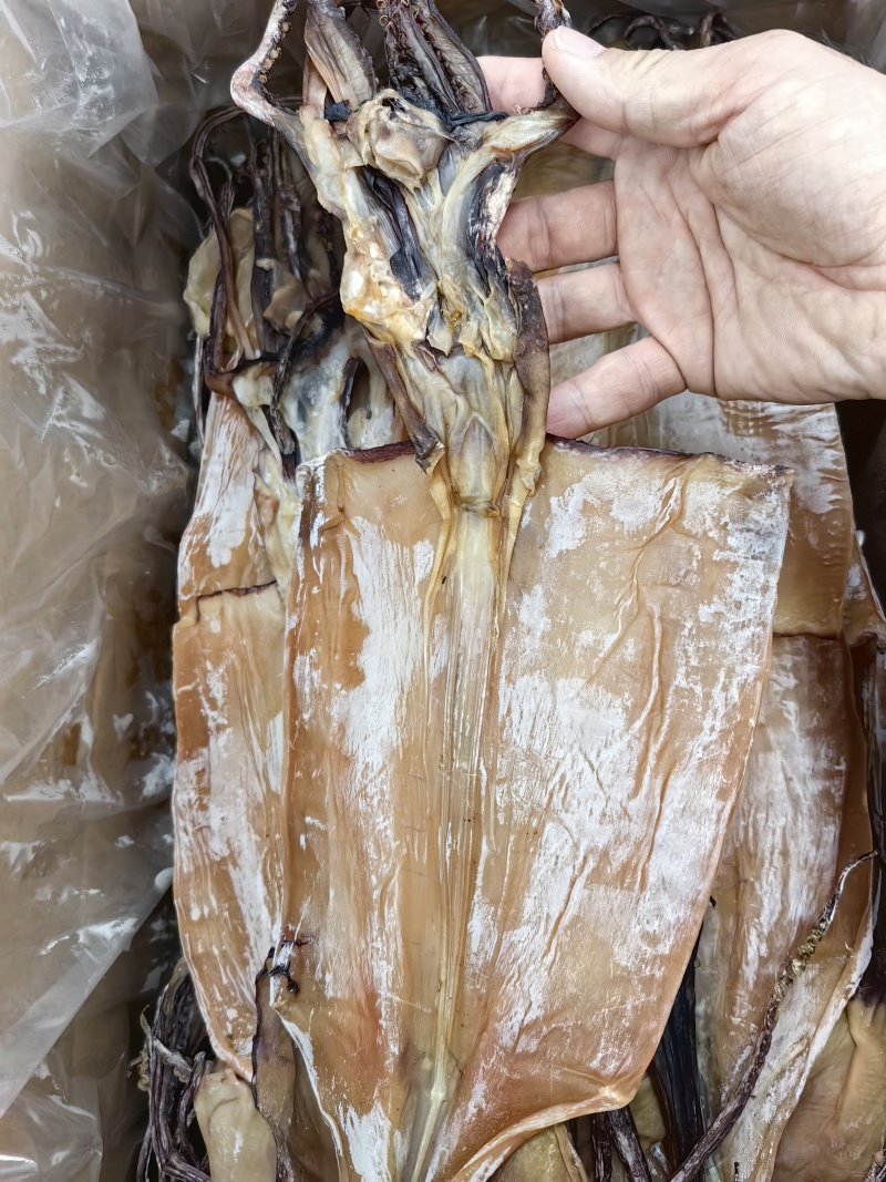 半盐无头鱿鱼干水发鱿鱼干淡干鱿鱼盐干鱿鱼规格齐全