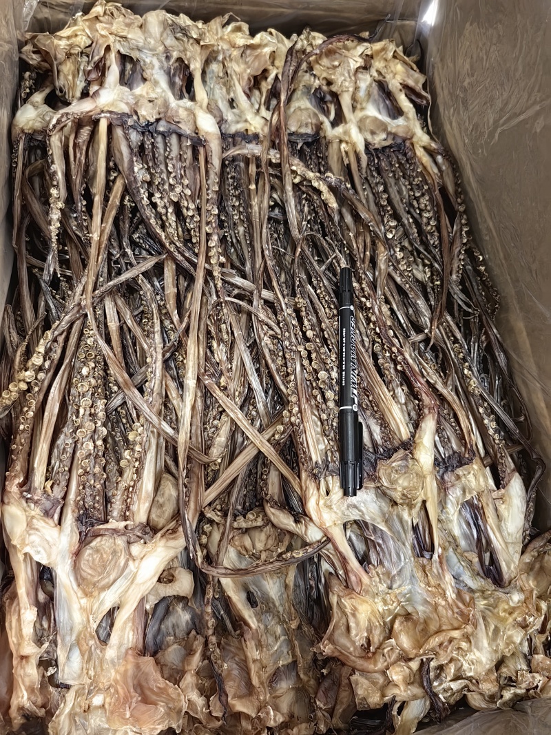 半盐无头鱿鱼干水发鱿鱼干淡干鱿鱼盐干鱿鱼规格齐全