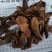 天花粉：本店有各种规格一手货源量大从优欢迎前来购买。