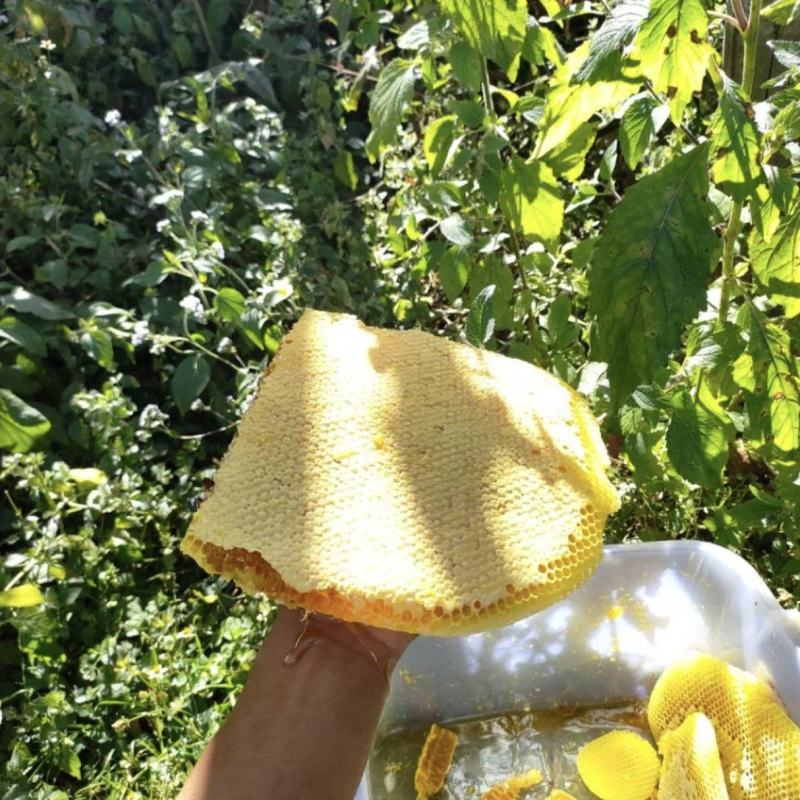 土蜂蜜