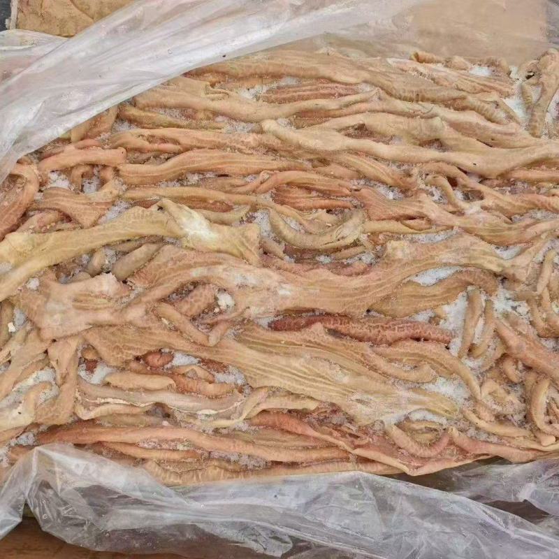 育肥牛小肠