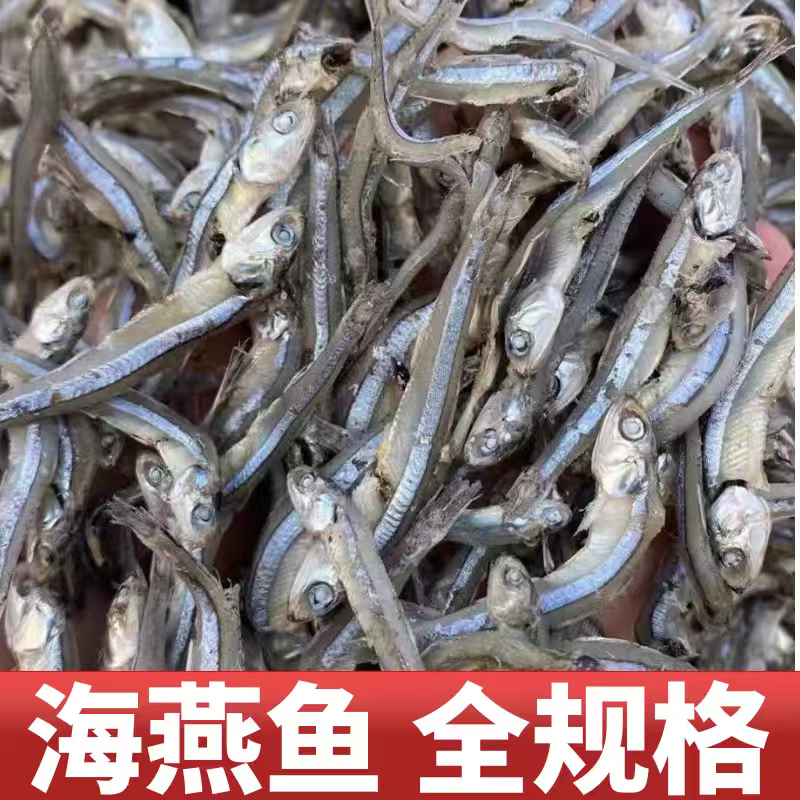 海燕鱼海鱼干公干鱼小鱼小虾小鱼干咸鱼干水晶鱼银鱼干金线鱼
