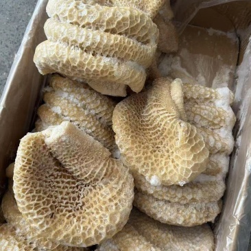 金钱肚