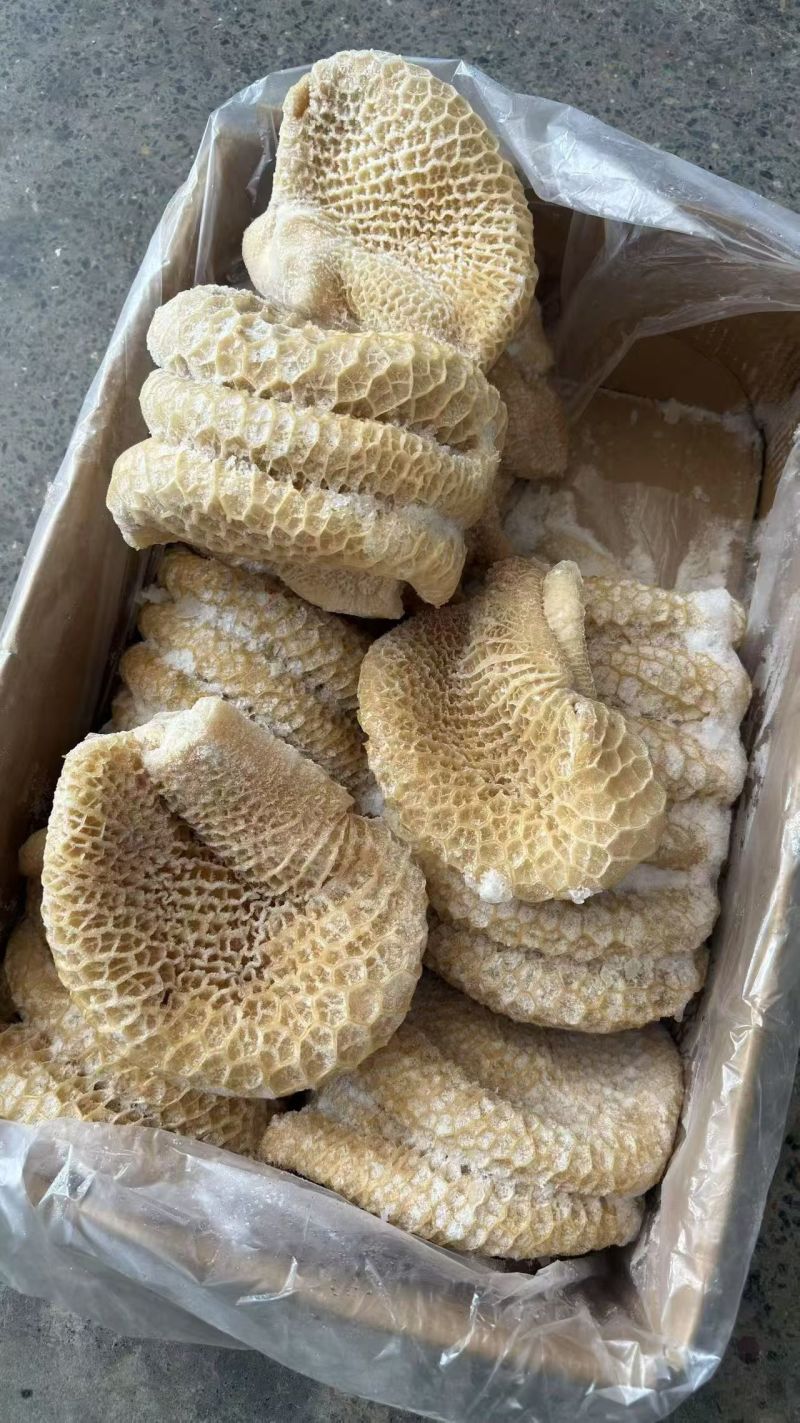 金钱肚