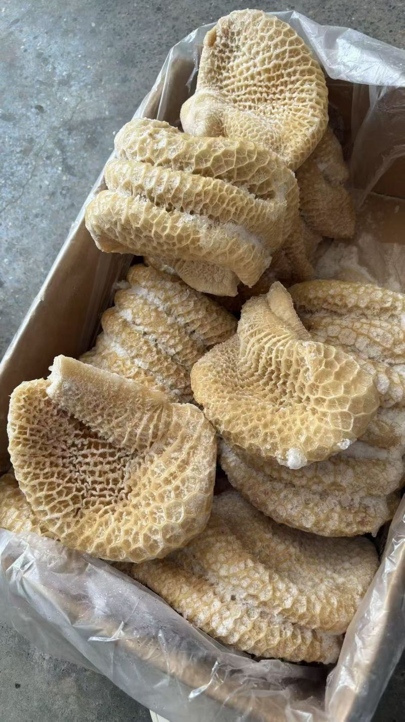 金钱肚