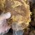 【熟牛肉】五香龟腱酱香龟腱加工厂自己卤煮每天现货供应