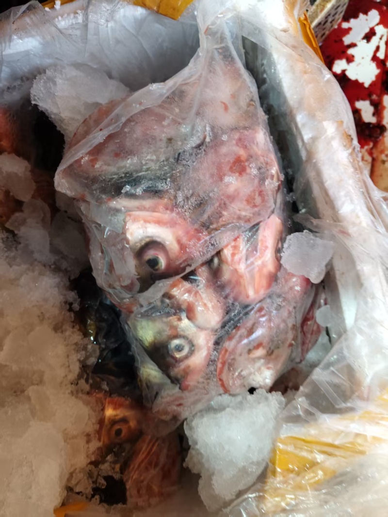 大量批发美味佳肴新鲜鱼唇，