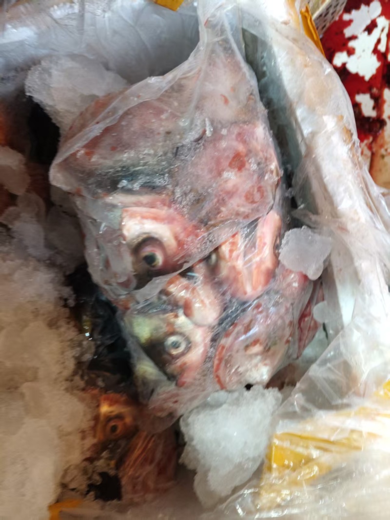 大量批发美味佳肴新鲜鱼唇，