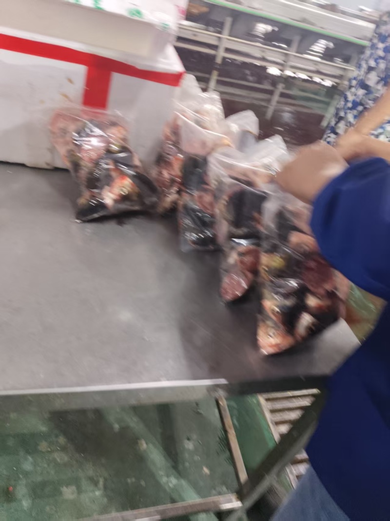 大量批发美味佳肴新鲜鱼唇，