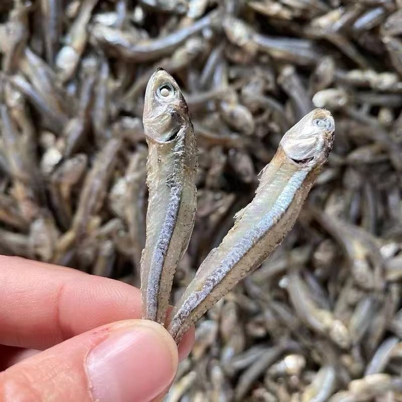 海燕鱼海鱼干公干鱼小鱼小虾小鱼干咸鱼干水晶鱼银鱼干金线鱼
