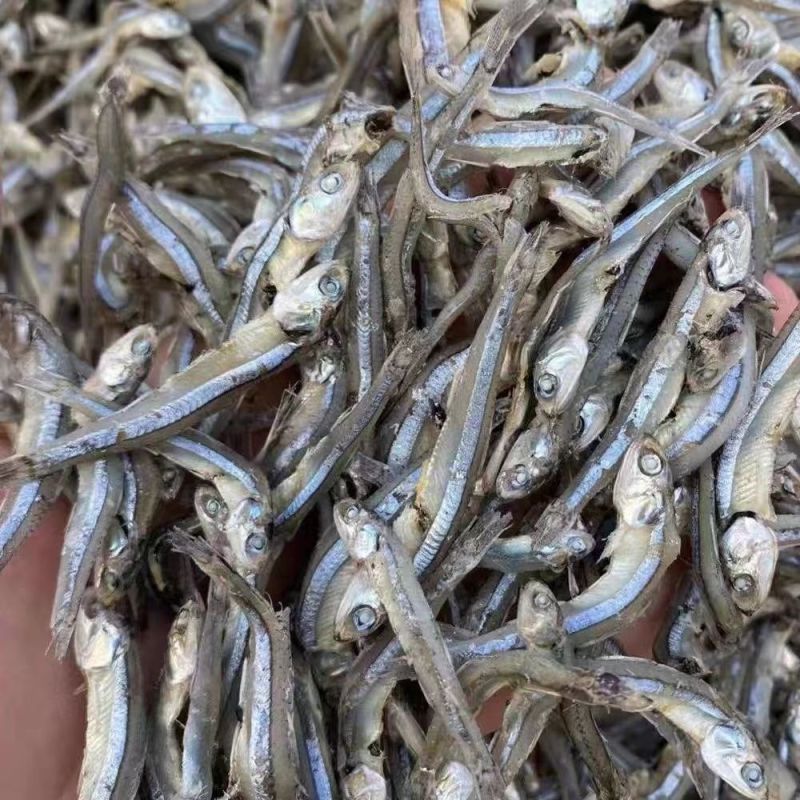 海燕鱼海鱼干公干鱼小鱼小虾小鱼干咸鱼干水晶鱼银鱼干金线鱼