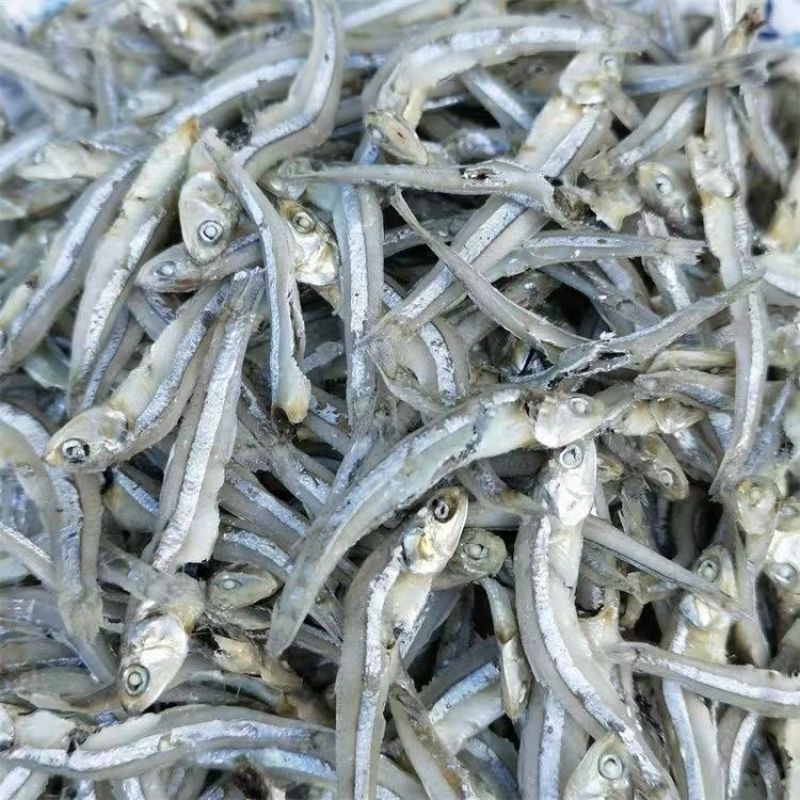 海燕鱼海鱼干公干鱼小鱼小虾小鱼干咸鱼干水晶鱼银鱼干金线鱼